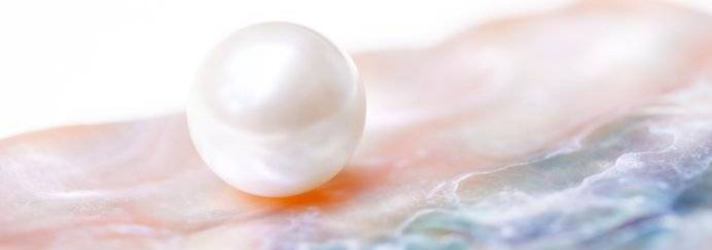 滋賀県総合探偵社パール長浜