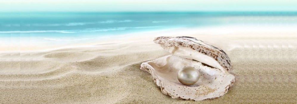 滋賀県総合探偵社パール長浜