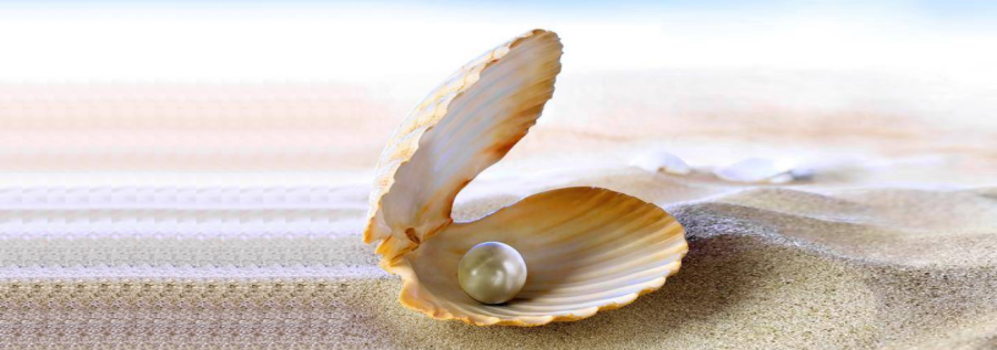 滋賀県総合探偵社パール長浜